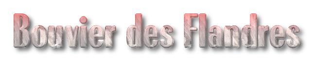 [bouvier]